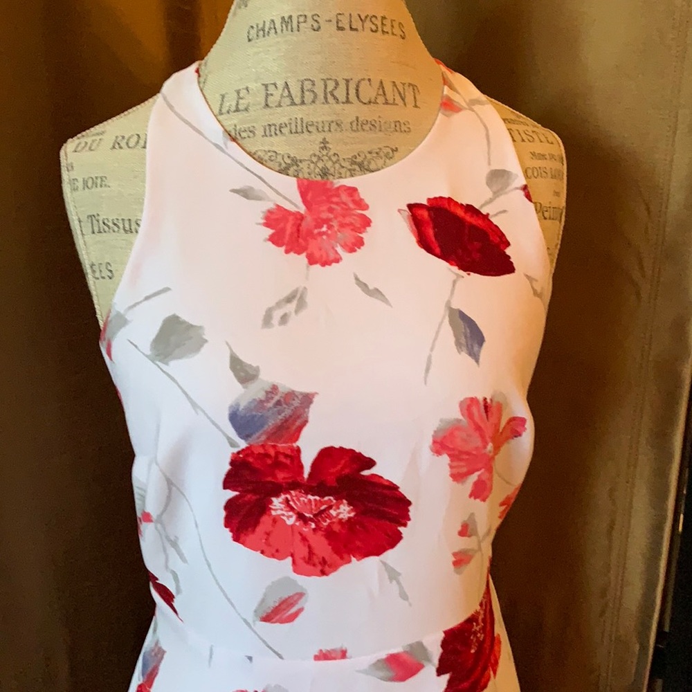 Beautiful NWOT floral Dress, Size 8, Sleeveless